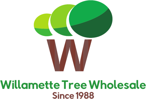 Willamette Tree Wholesale